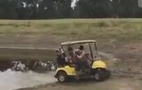 Gençlerin Golf Arabası ile İmtihanı