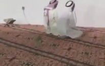 Namaz Kılan Arapların Kedi ile İmtihanı