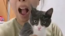 TikTok Filtresinden Acayip Korkan Kedi