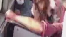 Otobüste Kadına Şiddete Kimse Müdahale Etmedi