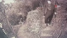 Adnan Oktar ve Kediciklerin Kaçma Anı