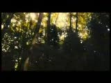 Dehşetin Soluğu Fragman