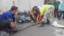 Rögar Kapağına Sıkışan Pitonu Kurtarma Operasyonu