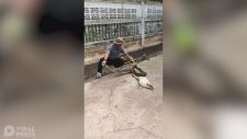 Aç Gözlülüğü Yüzünden Çitlere Sıkışan Piton Yılanı