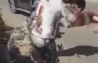 Kaktüs Ağacının Üzerine Düşen Bisiklet Sürücüsünün Zor Anları