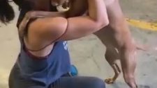 Sahibine Kavuşan Köpeğin Büyük Sevinci