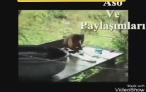 VID20201205WA0023
