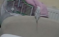 VID20201205WA0073
