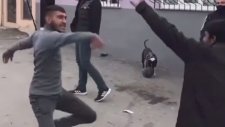 Roman Gençlerin Enteresan Dansı