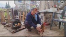 Tavukları Üşümesin Diye Kazak Ördü