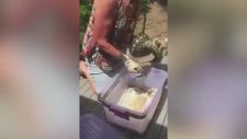 Kadının Piton Yılanı ile İmtihanı