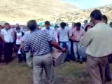 Avşar Halayı 3