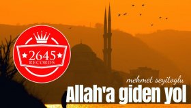 Mehmet Seyitoğlu - Allah'a Giden Yol