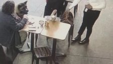 Kadının Yüzünü Isıran Sokak Köpeği