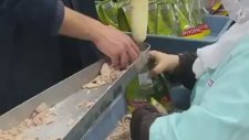 Dardanel Ton Fabrikası Elle Dolum Görüntüleri