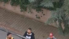 Sokak Müzisyenlerinden Müthiş Lale Devri Performansı