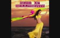 Yaşar Akpençe - Fuzzy Mood