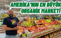 Amazon'un 13 Milyar Dolara Satın Aldıgı Market | Whole Foods