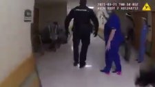 Amerika'da Huzurevine Giren Geyik Polis Operasyonuyla Yakalandı