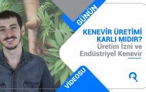 Kenevir Üretimi Karlı mıdır? Kenevir Üretim İzni ve Endüstriyel Kenevir Hakkında Bilgiler