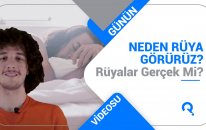 Neden Rüya Görürüz, Rüyalar Gerçek mi?