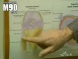 ayaklarını 360 derece donduren adam