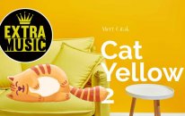 Mert Çıtak - Cat Yellow II