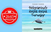 Yaşar Taner - Gökyüzünde Bölük Bölük Turnalar
