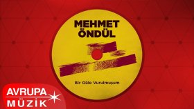 Mehmet Öndül - Bir Güle Vurulmuşum