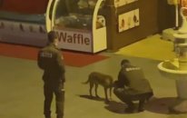Elleriyle Köpeğe Su İçiren Bekçi