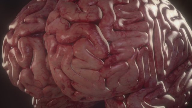 Human: The World Within (2021) Fragman