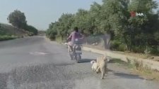 Köpeğe Eziyeti Kayda Alıp Şahsı Polise Teslim Ettiler
