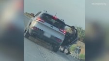 Sahibi Tarafından Yol Kenarına Bırakılan Köpeğin İçinizi Burkacak Görüntüleri
