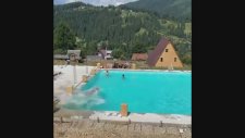 Yüzme Havuzunda Serinlemeye Karar Veren İnek