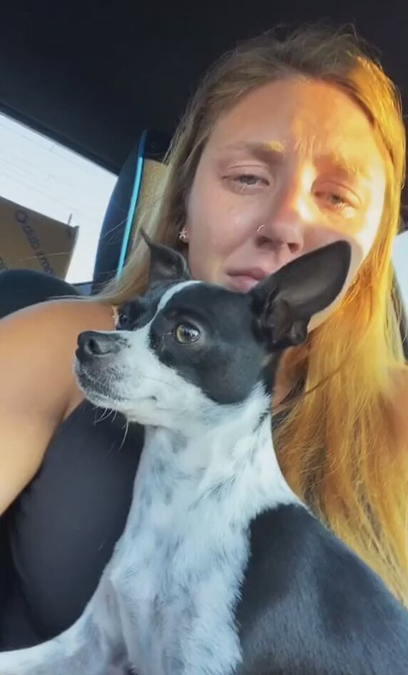 ağlayan köpek