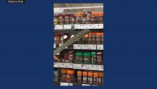 Süpermarkette Görülen Dev Piton Yılanı