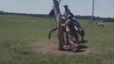 At Üzerinde İmkansızı Başaran Adam