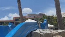 Su Kaydırağından Kayan Maceracı İguana