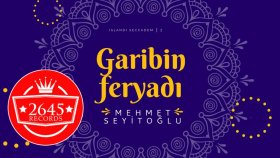 Mehmet Seyitoğlu - Garibin Feryadı