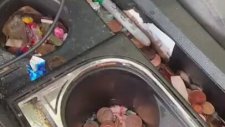 Araç İçi Temizliğin Hakkını Vermek