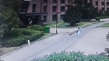 34. Kattan Düşen Saksıdan Kıl Payı Kurtulan Kız