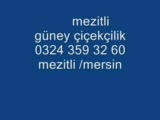 güney çiçekçilik