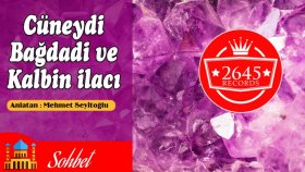 Mehmet Seyitoğlu - Cüneyd-i Bağdadi Ve Kalbin İlacı