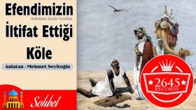 Mehmet Seyitoğlu - Efendimizin İltifat Ettiği Köle