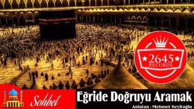 Mehmet Seyitoğlu - Eğride Doğruyu Aramak
