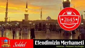 Mehmet Seyitoğlu - Efendimizin Merhameti