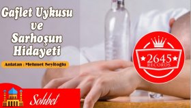 Mehmet Seyitoğlu - Gaflet Uykusu Ve Sarhoşun Hidayeti