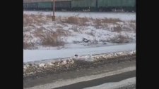 Trenin Altında Kalan Otomobil Metrelerce Sürüklendi