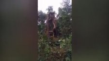 Dev Yılan İş Makinesi ile Kaldırıldı