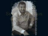 erol akan - sevmiyorsan sus git güle güle